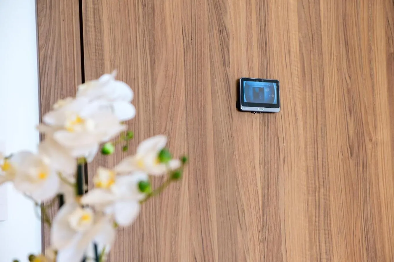 Bright And Stylish Apartment Center Of Marrakech Marraquexe 0*,  Marrocos